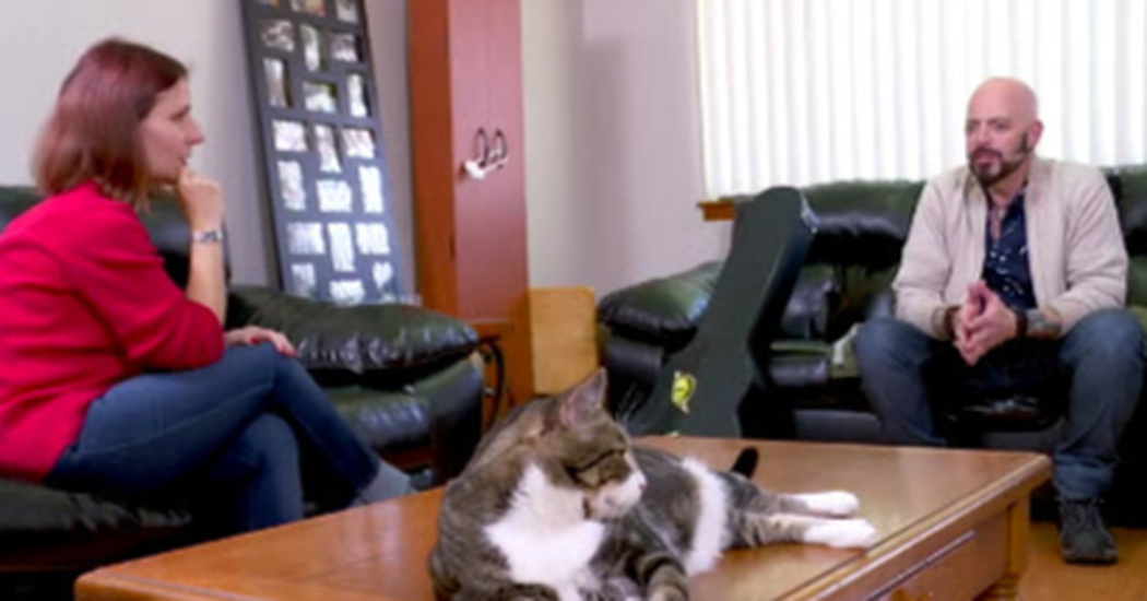 Cat Keeps Bothering Owner At Night But When She Follows, Her Heart