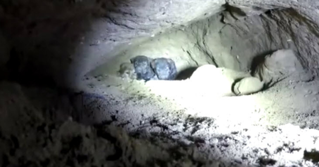 He Tries To Save 8 Puppies From A Cave But Then He Sees Something Else ...