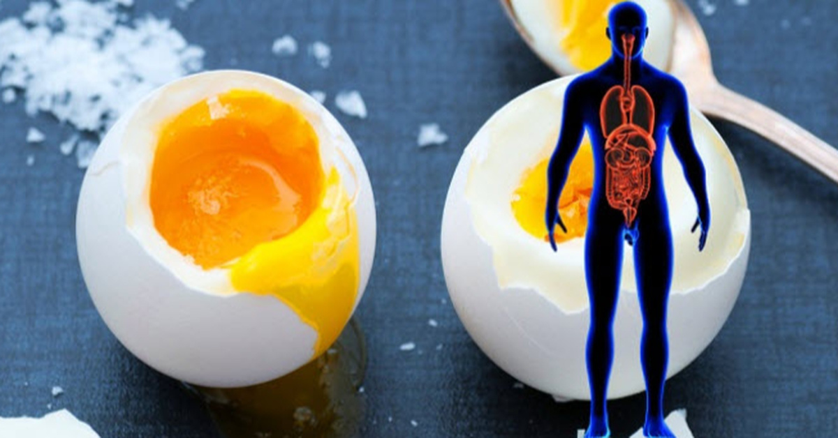 Studies Show The Surprising Effects Of Eating 2 Eggs Per Day