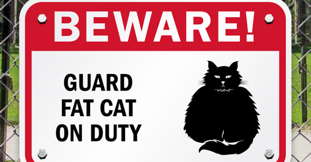 18 Serious ‘Beware Of The Cat’ Signs That Might Just Send You Running ...