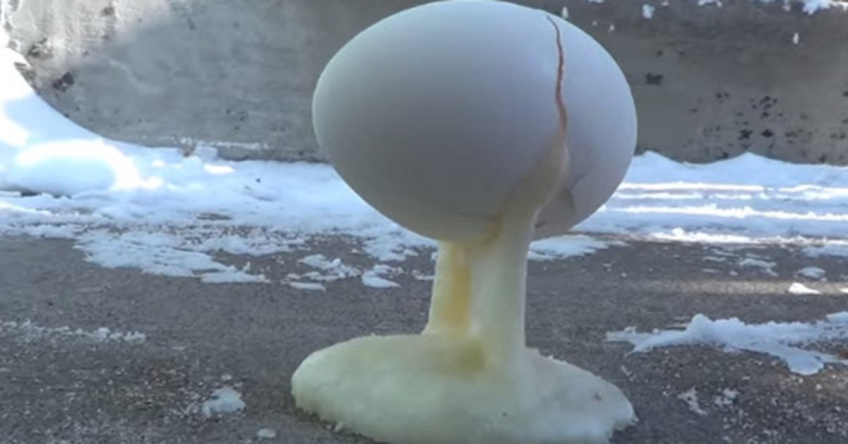 It’s So Cold In Minnesota That Eggs Are Freezing And It Is Amazing To