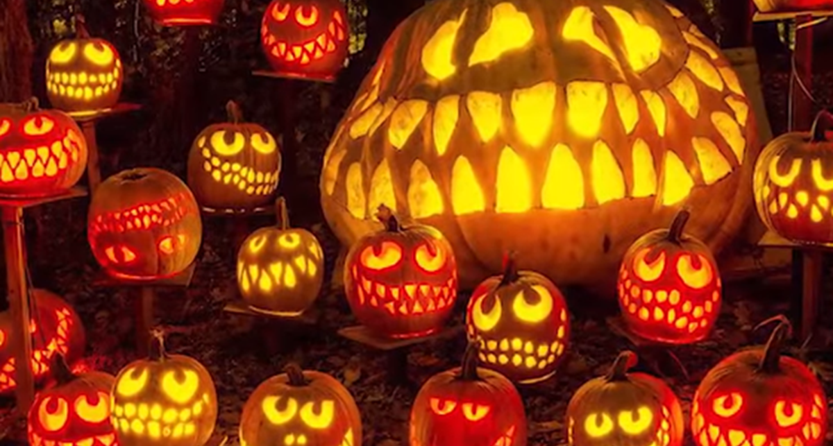 You Can Stroll Down A Glowing Pumpkin Trail With More Than 5,000 ...