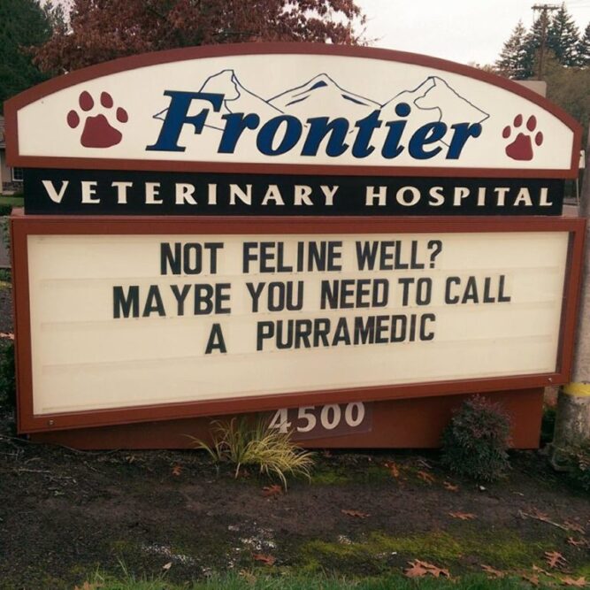 20 Hilarious Veterinarian Signs That Any Cat Lover Can Relate To