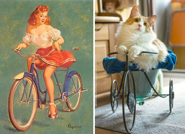 25 Hilarious Cats Posing Like Pin Up Girls