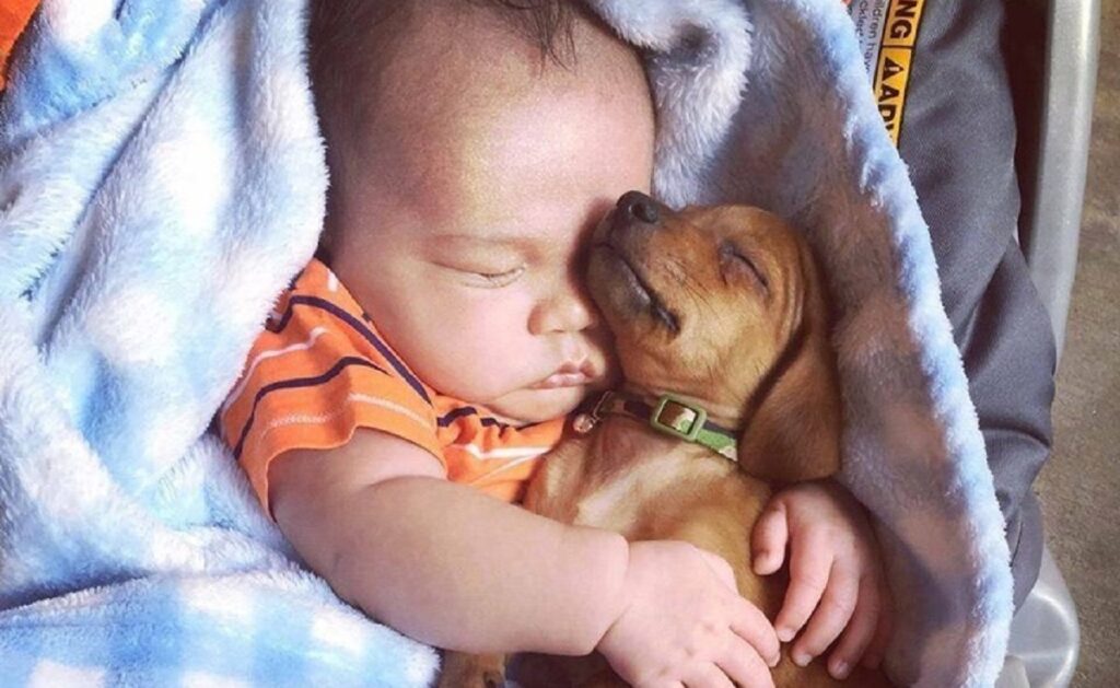 23 Pictures That Show Why Children Should Have Pets
