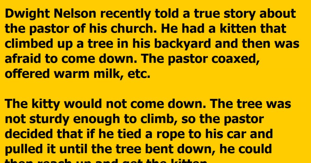 A Pastor Tries To Get A Kitten Out Of His Tree And Ends Up Performing A