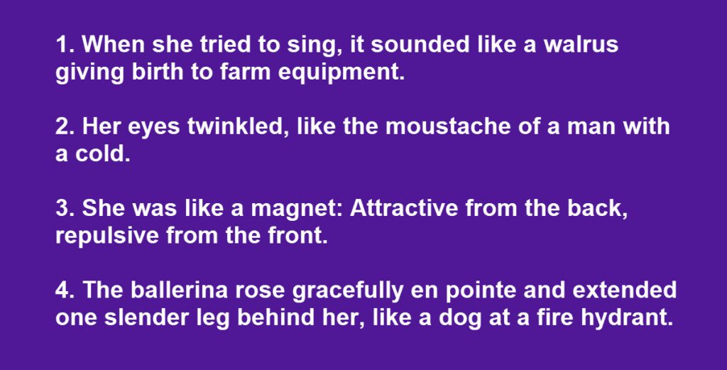 High school essay metaphors image