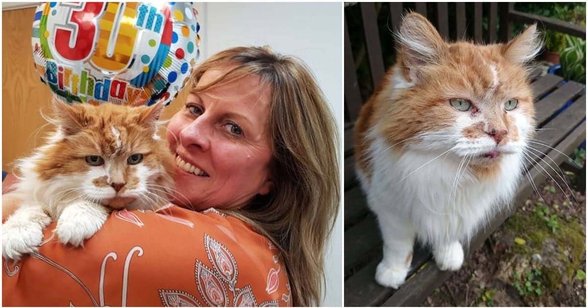 the-world-s-oldest-cat-is-now-32-years-young-innerstrengthzone