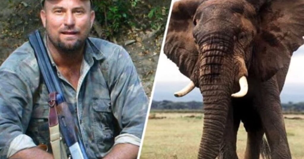 big game hunter crushed by elephant big game hunter crushed by elephant