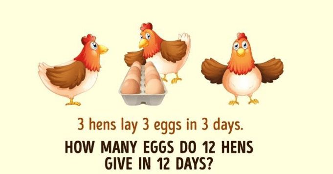 chicken math problem