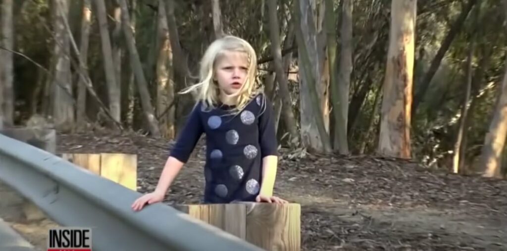 Brave Little Girl Earns Medal For Saving Family After Their Car Crashes ...