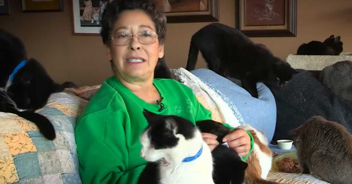‘Crazy Cat Lady’ Opens Her Home And 1000 Cats Inside