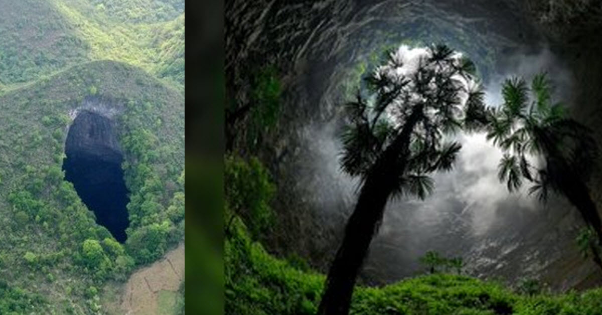 A Huge Sinkhole In China Reveals An Ancient Underground Forest 4073