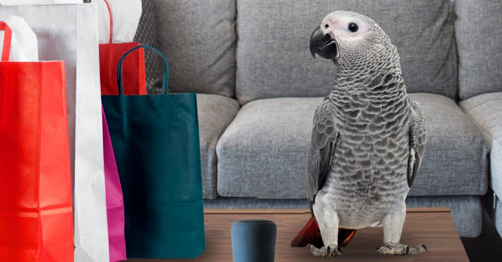 Parrot Asks Alexa To Add Pulled Pork Parrot Wants Pulled Pork So He Has Alexa Add It To The List Over And